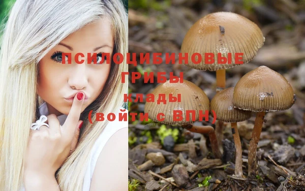 гидра Верхнеуральск