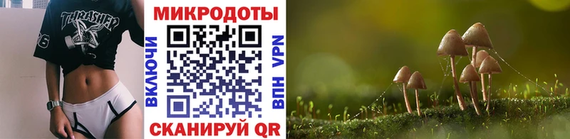 Галлюциногенные грибы Magic Shrooms  как найти   Электросталь 